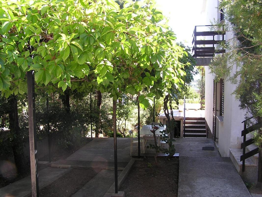 Apartmán Vorkapic